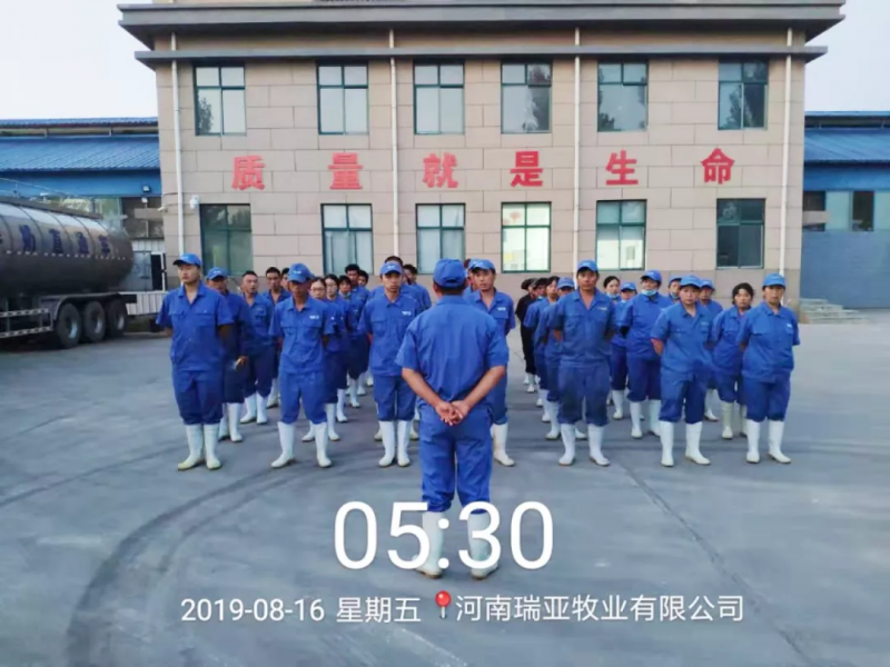 小晨會(huì)·大能量——砥礪奮進(jìn)的花花牛，加油！